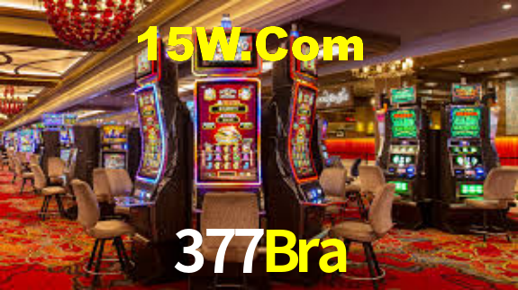 377Bra,377Bra.Com