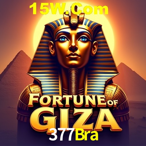 Cassino ao vivo com dealers reais na 377Bra