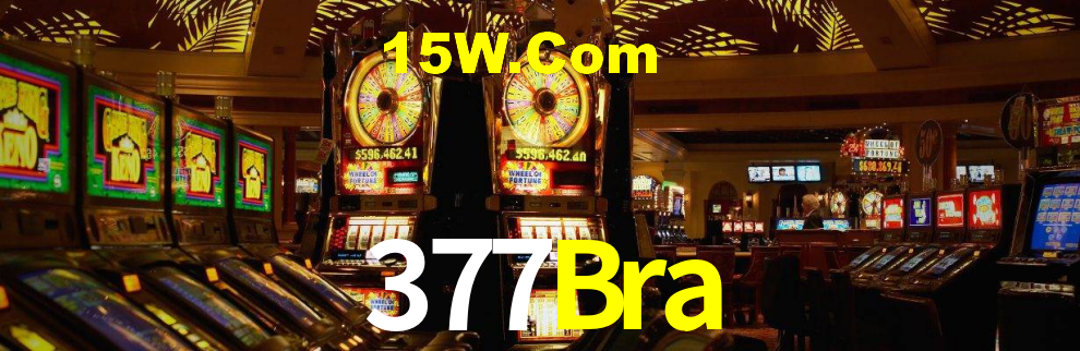 377Bra,377Bra.Com