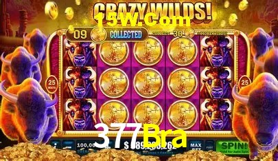 Suporte e comunidade no Telegram